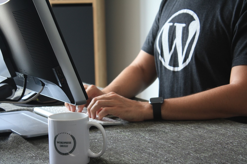 WordPress Freelancer, Digitalagentur Seidl bietet Rundumservice für deine WordPress Webseite